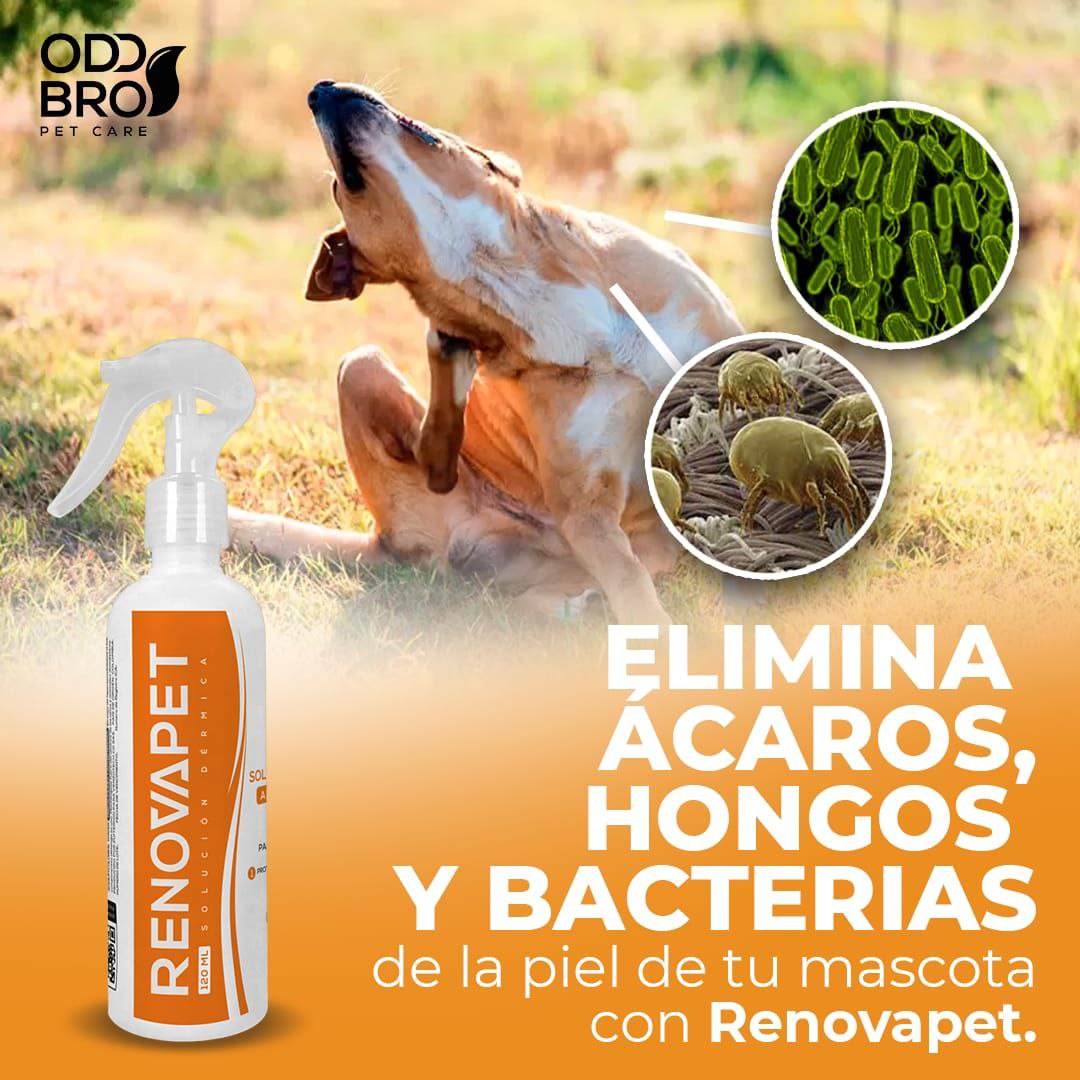 RENOVAPET